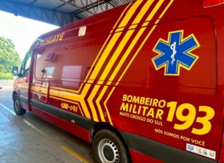 Carro bate em carreta e motorista morre