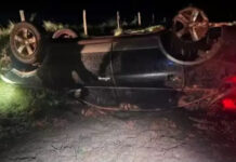 Carro capota com 1.575 quilos de maconha e o suspeito foge a pé