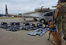 Fronteira vira rota de maconha ‘premium’ avaliada em US$ 17 milhões