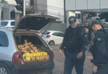 Na principal avenida de Campo Grande homem é preso com meia tonelada de maconha