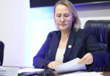 Liandra Brambilla é reeleita presidente
