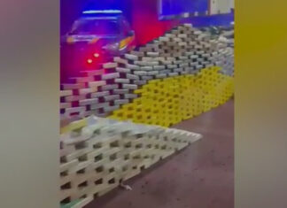 Na BR-262 a PRF flagra caminhão com 1,1 tonelada de drogas e duas pistolas